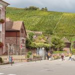Alsace 2026 : Gewurztraminer à 33 hl/ha, Riesling en souffrance — le millésime de la sécheresse vous annonce des bouteilles plus rares