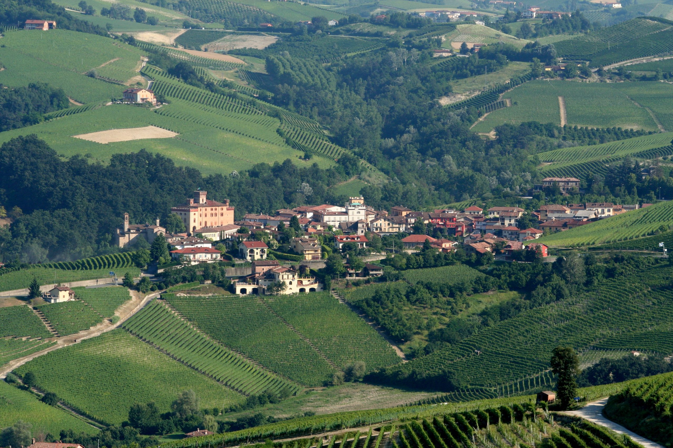 Vignobles de Barolo vus depuis La Morra, région viticole du Piémont en Italie