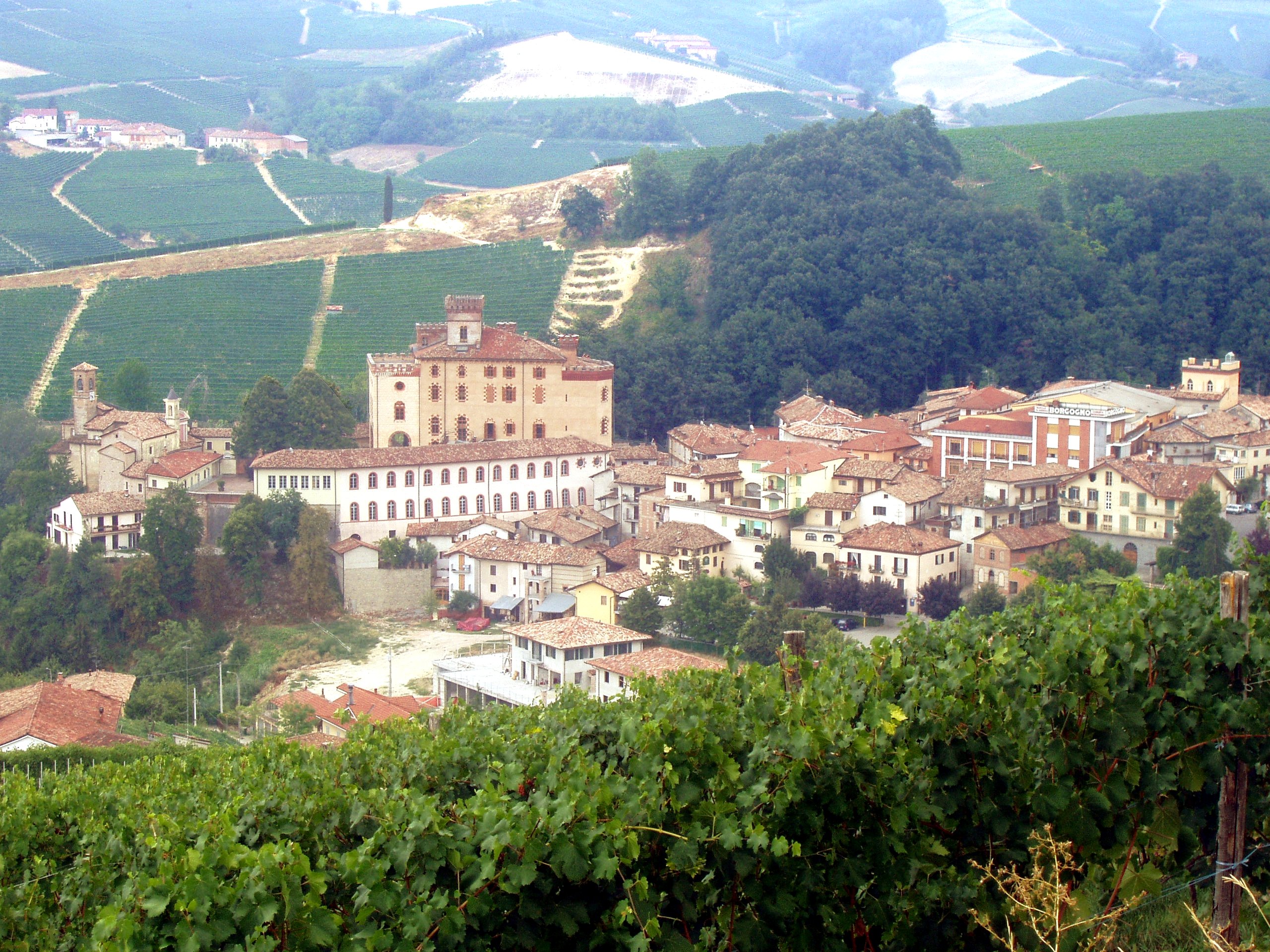 Le village de Barolo et ses vignobles emblématiques dans la région du Piémont, en Italie