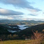 La grêle dévaste le Beaujolais : « des milliers d’hectares » ravagés en une nuit