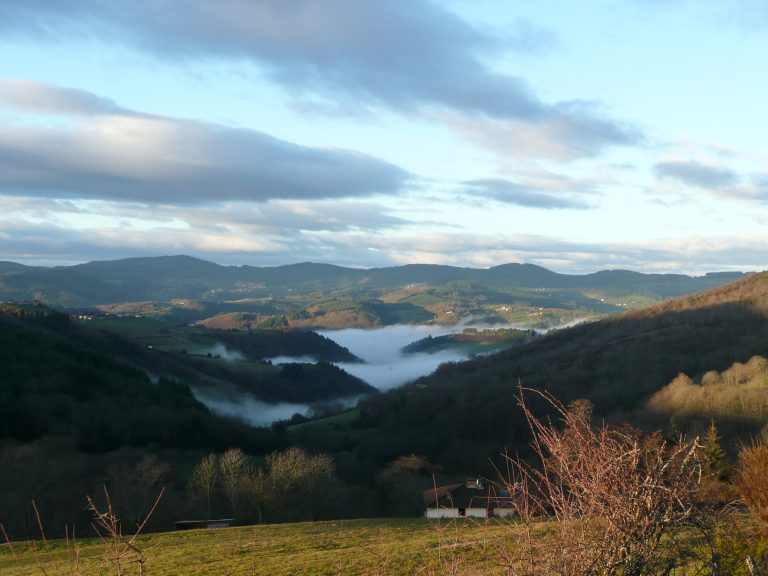 La grêle dévaste le Beaujolais : « des milliers d'hectares » ravagés en une nuit Paysage viticole Beaujolais vignoble