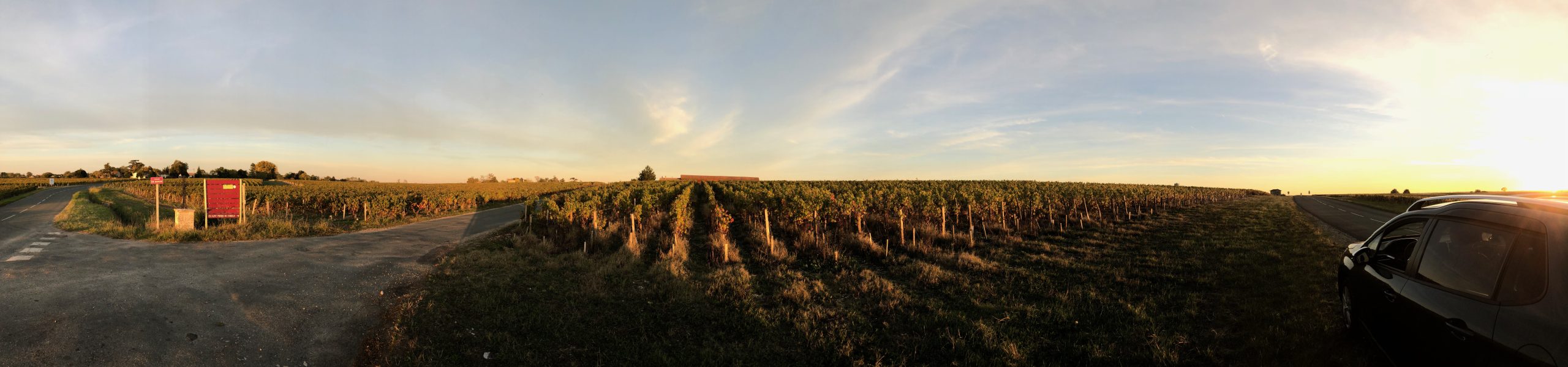 Vignobles de Bordeaux en automne exports vins de France