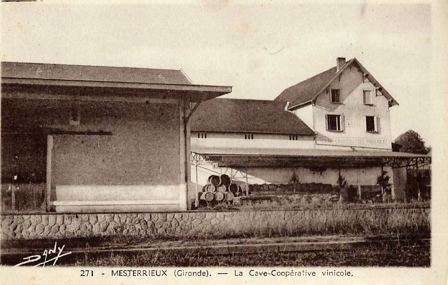 Cave coopérative viticole Gironde Bordeaux ancienne carte postale