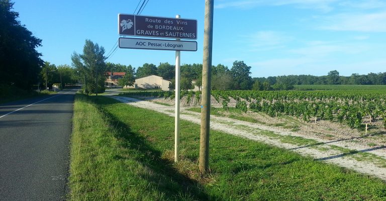 « Aller jusqu&rsquo;à la porte du tribunal de commerce » : la préfète de Gironde sonne l&rsquo;alarme pour les caves coopératives bordelaises