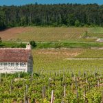 Louis Roederer entre en Bourgogne : la maison de Cristal acquiert le Domaine Pierre Damoy et ses grands crus