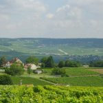 250 ans Roederer, 150 ans Cristal : le double anniversaire qui réécrit l&rsquo;histoire du Champagne