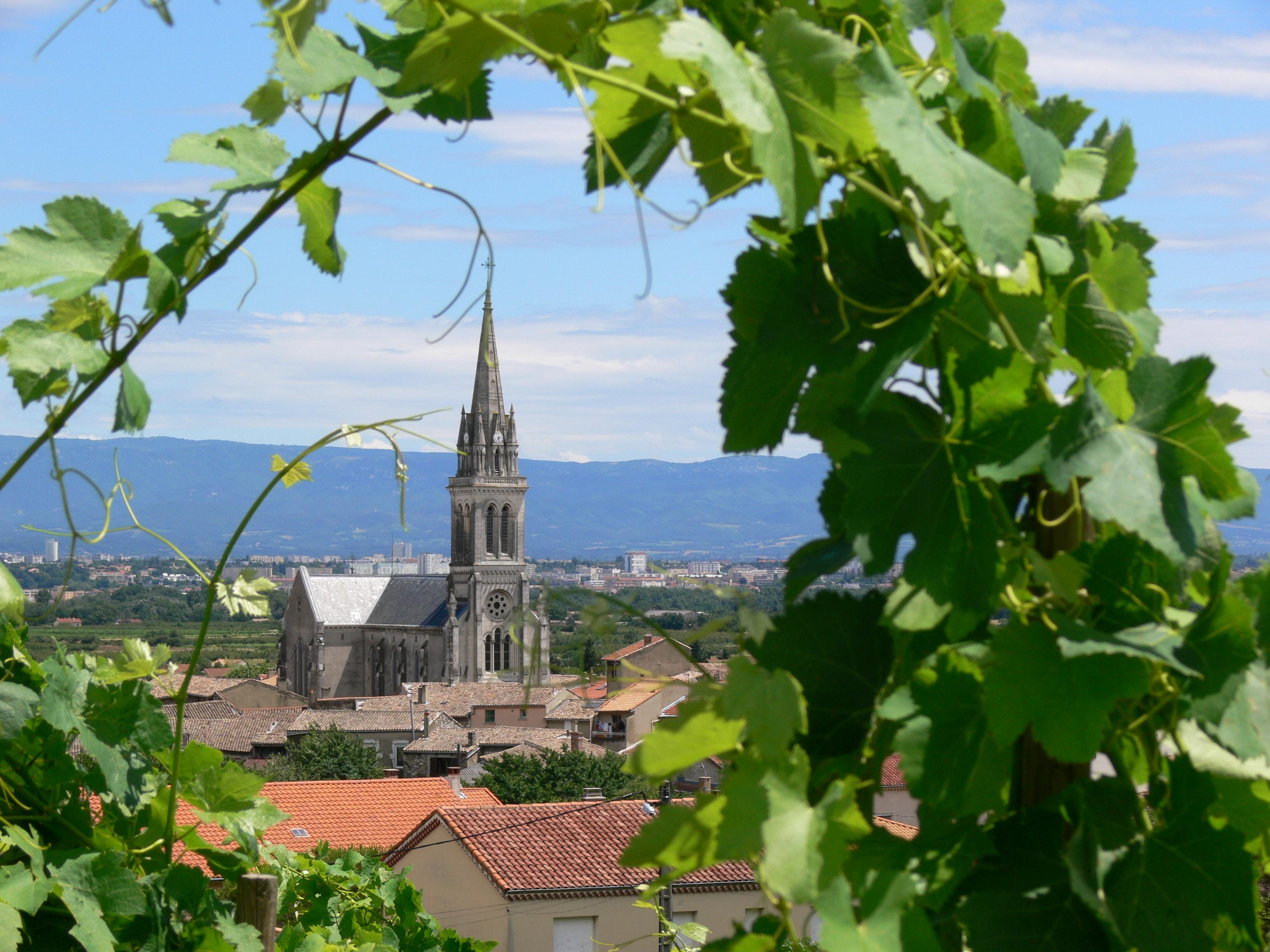 Vignes de Cornas dans l'Ardèche, Rhône Nord