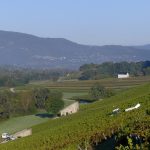 14 juillet 2026 : cinq vins français pour célébrer la Fête Nationale — et le millésime le plus fou de l&rsquo;histoire