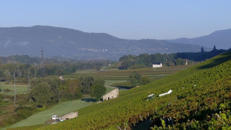 14 juillet 2026 : cinq vins français pour célébrer la Fête Nationale, et le millésime le plus fou de l&rsquo;histoire