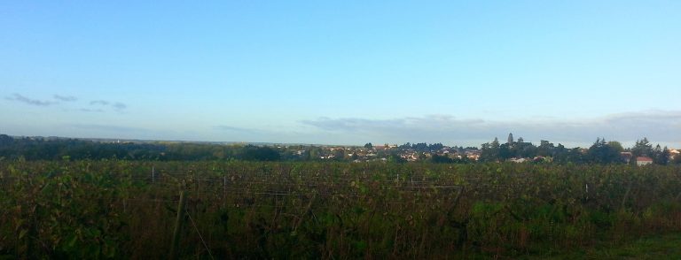 Alph, le premier robot viticole Pellenc dans les vignes françaises : 150 000 €, 270 heures — et après ?