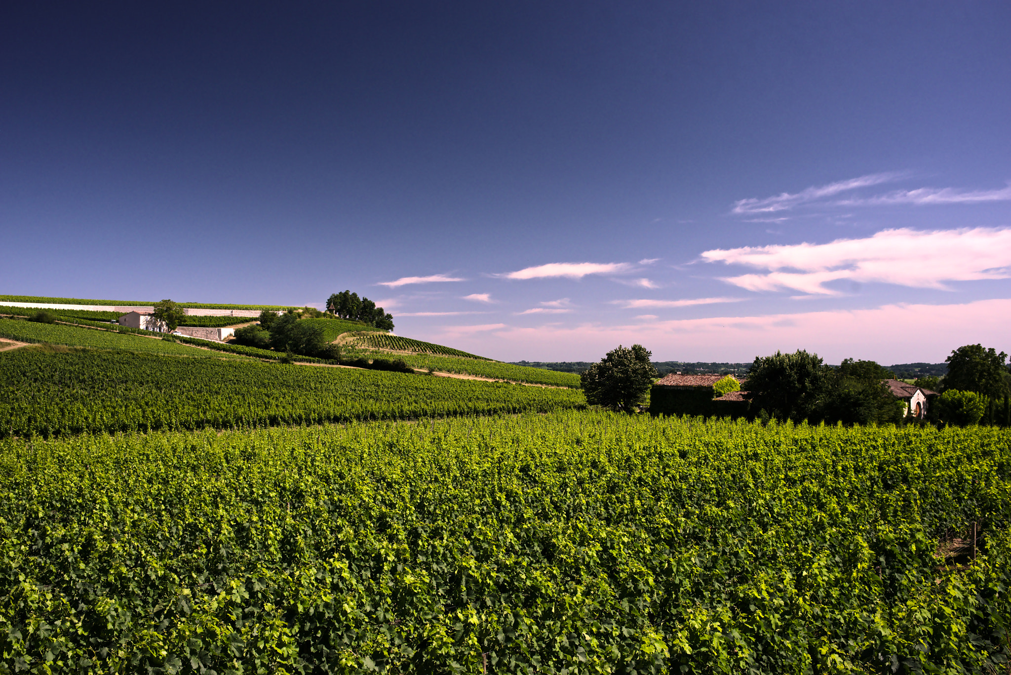 Vignobles de la rive droite bordelaise — terroir argilo-calcaire similaire à Castillon Côtes de Bordeaux
