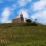 Grêle à Fleurie 2026 : le joyau des crus Beaujolais touché à quelques semaines des vendanges