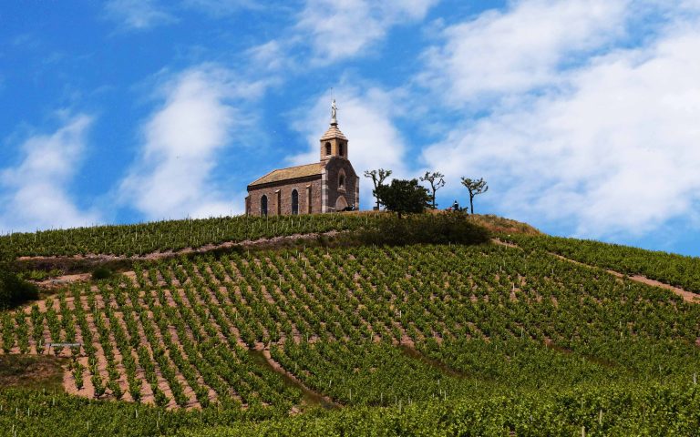 Grêle à Fleurie 2026 : le joyau des crus Beaujolais touché à quelques semaines des vendanges