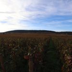 Roederer s’offre Gevrey-Chambertin : 8 hectares de grands crus et une ambition bourguignonne inédite