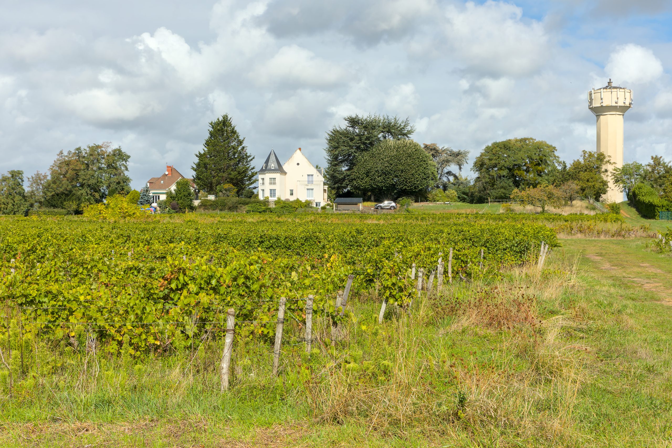 Vignoble Rochecorbon Vouvray grele juillet 2026