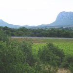 80 % de la récolte détruite en 25 minutes : la grêle s’acharne sur Pic-Saint-Loup et Montlouis