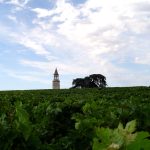 Raisins desséchés sur pied à Bordeaux : le millésime 2026 menace d’être plus rare qu’en 2025