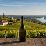 Vins de Loire : record export en 25 ans quand la filière française plonge — et le Crémant en vedette
