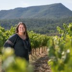 Feux de vignes 2026 : quand l&rsquo;enherbement bio crée un couloir pour les flammes en Provence