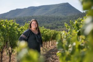 Feux de vignes 2026 : quand l&rsquo;enherbement bio crée un couloir pour les flammes en Provence