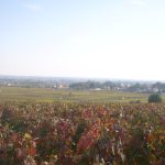 La Paulée de Castillon 2026 : quand Bordeaux réinvente la fête de fin de vendanges