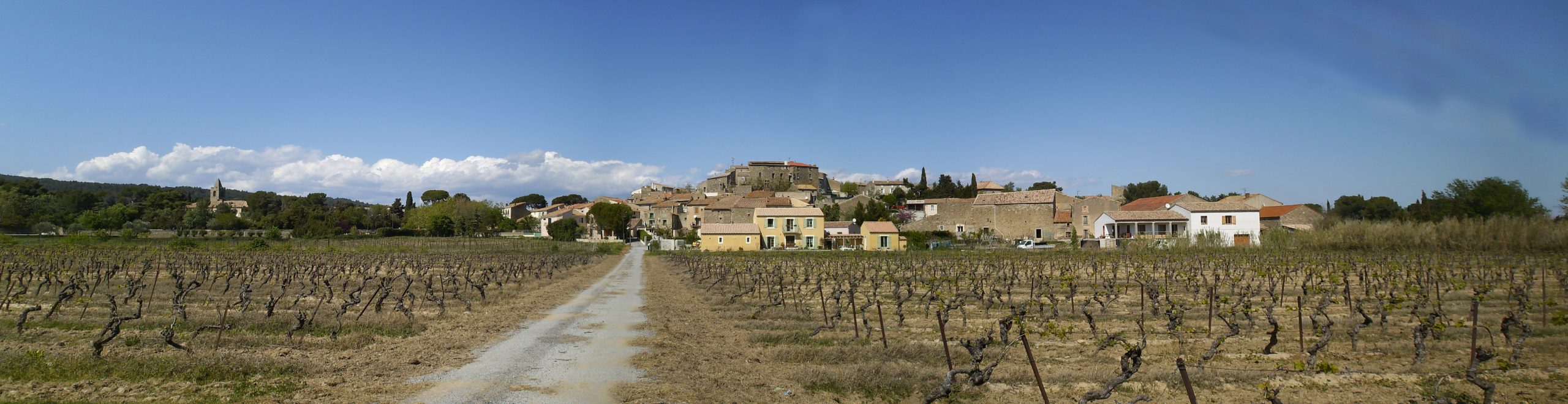 Panorama vignoble Pouzols-Minervois Aude incendies juillet 2026
