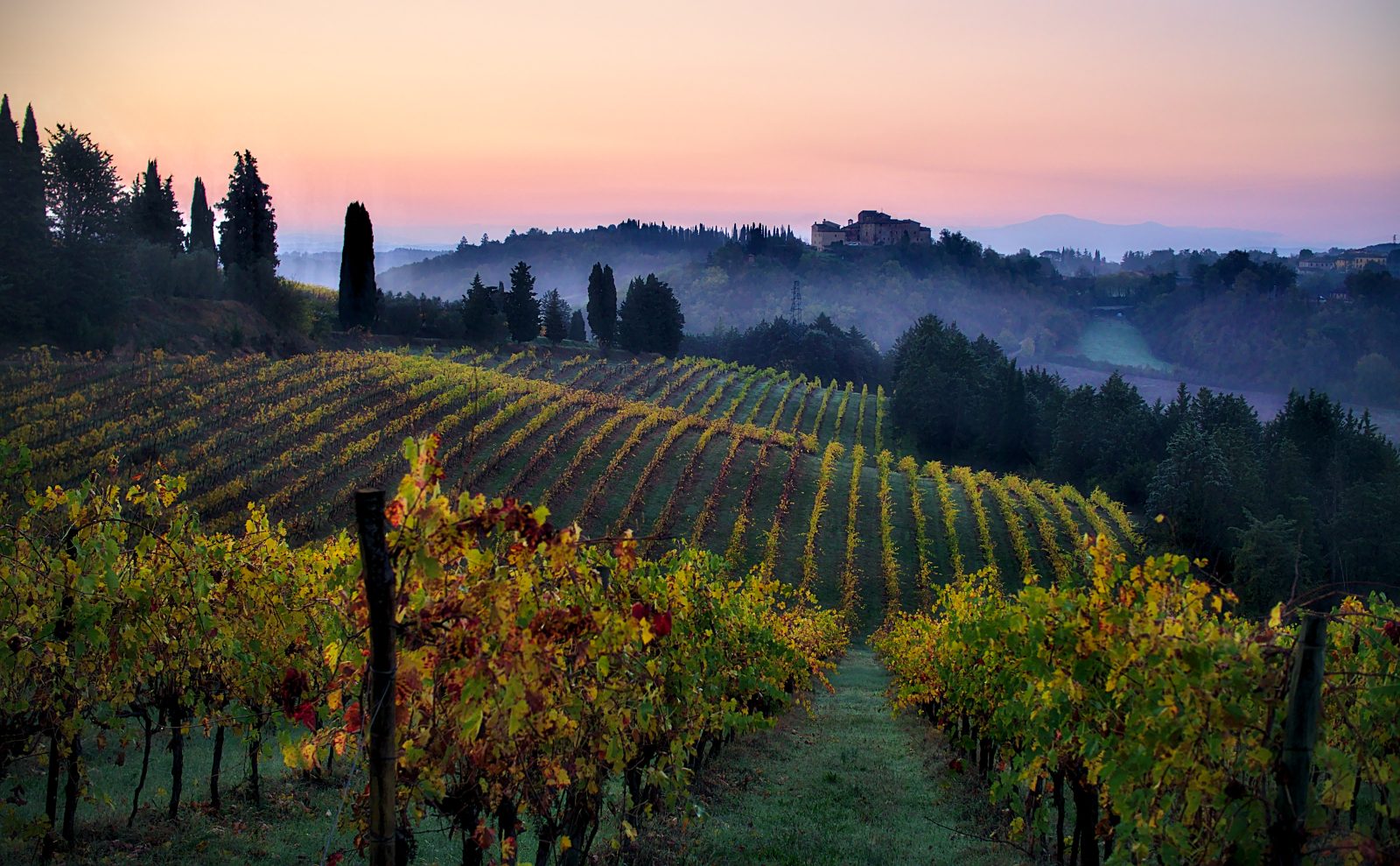 Trop de vin, trop peu d&rsquo;acheteurs : comment l&rsquo;Italie et l&rsquo;Espagne tentent d&rsquo;éviter la catastrophe viticole en 2026