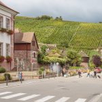 Le crémant et les grands crus d’Alsace entrent en cave le même jour : jamais vu dans l’histoire du vignoble