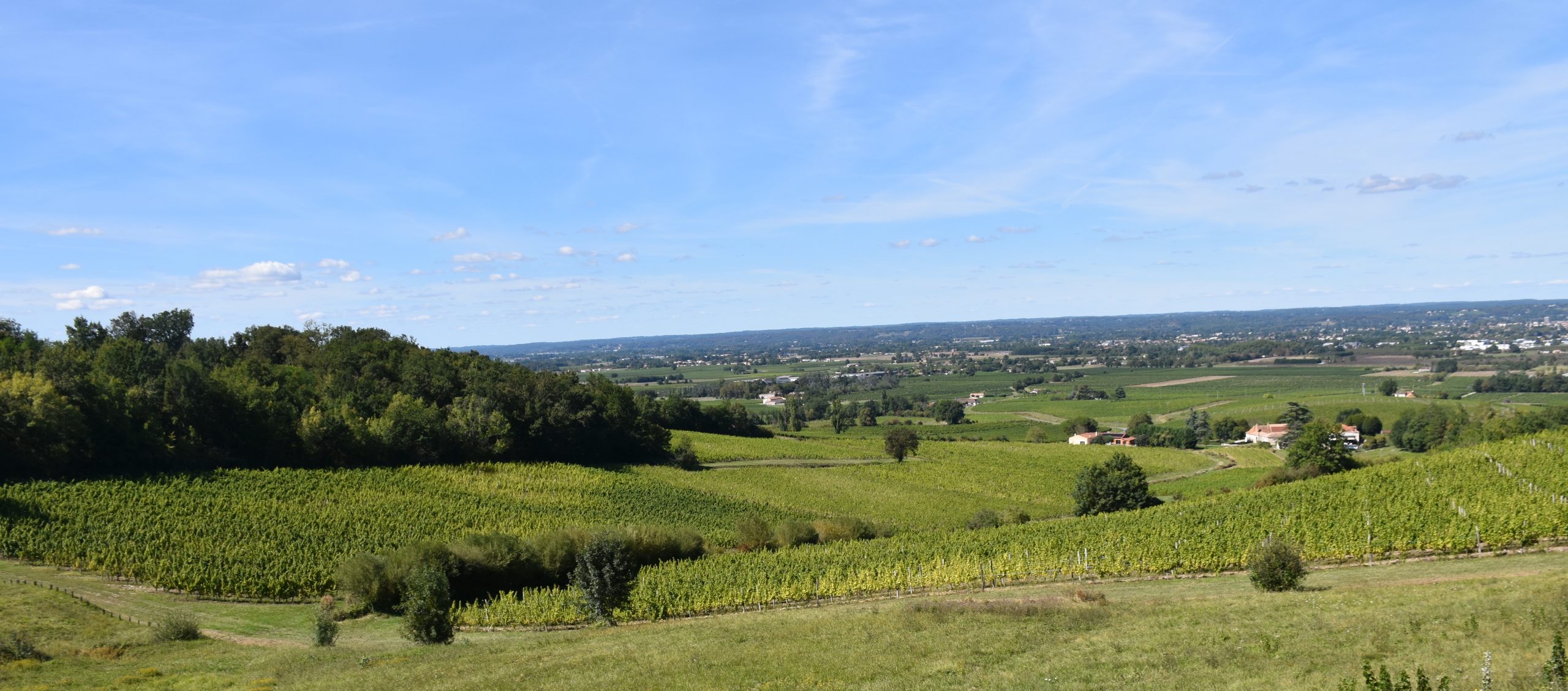 Vignoble de Monbazillac en Dordogne, paysage viticole vue panoramique