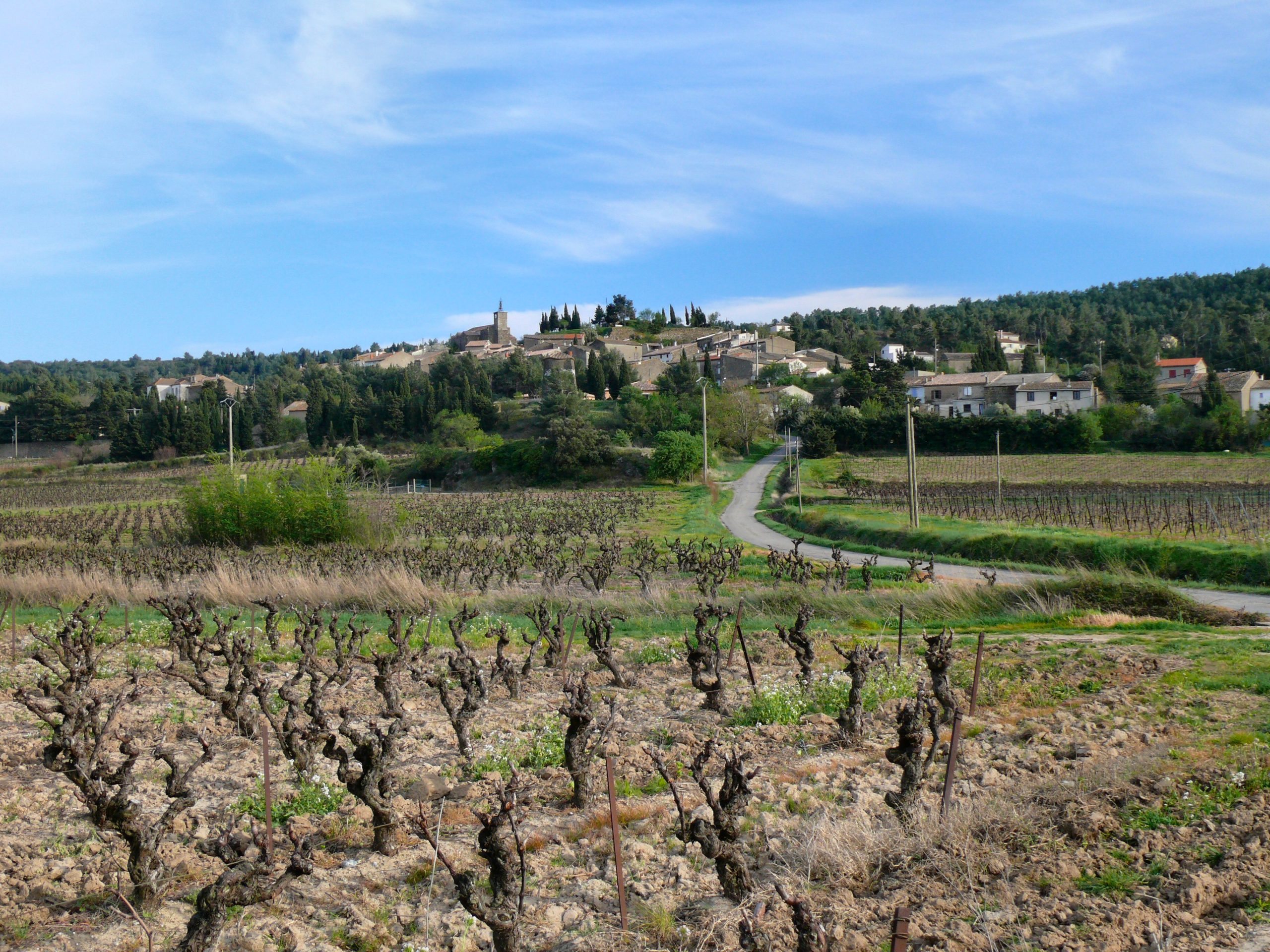 Vignoble et village de Montbrun-des-Corbières dans l'Aude, région des Corbières (Languedoc)