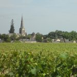 En Anjou, on vendange moins pour que le rosé retrouve de la valeur : 3e année de rareté volontaire