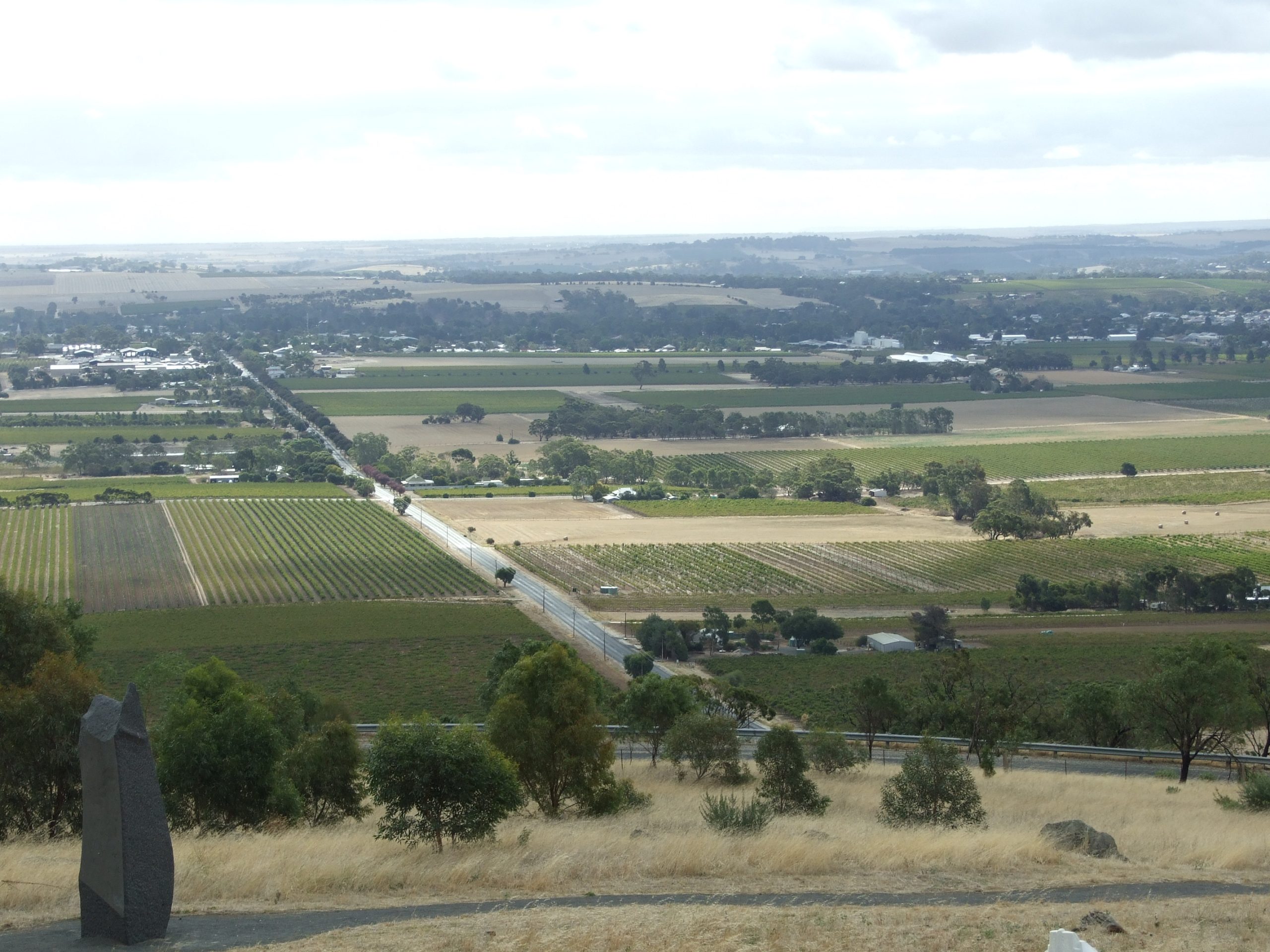 Vignobles australiens Barossa Valley vue aérienne