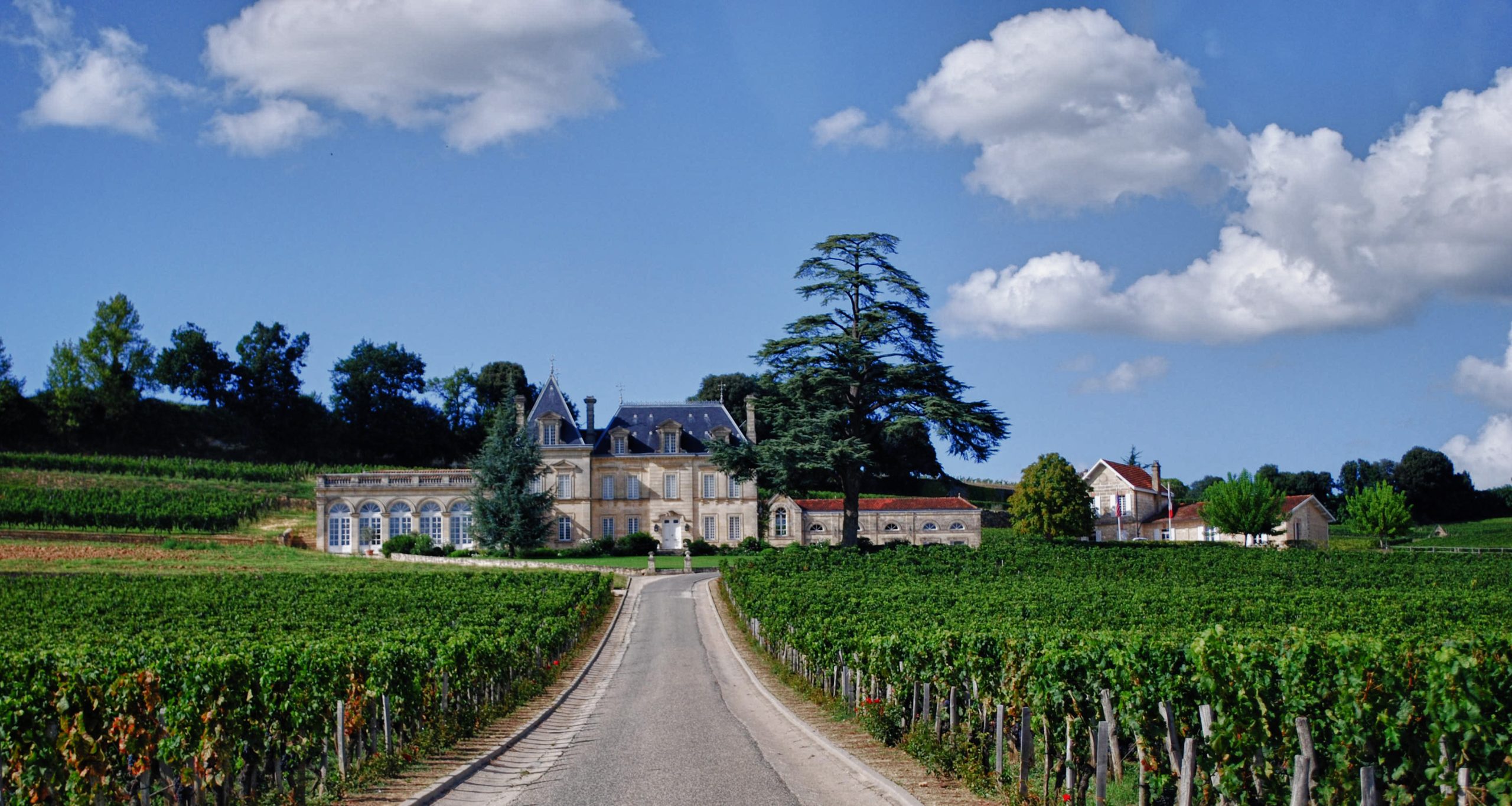 Vignoble de Saint-Emilion, Bordeaux