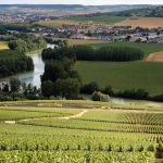 À 14° d’alcool et en hausse, les vignerons champenois testent la désalcoolisation de leurs vins de base