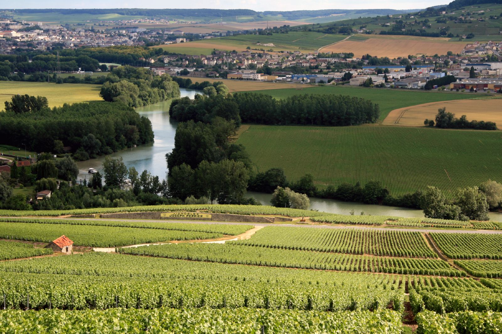 Vignobles de Champagne à Hautvillers et Cumières, Marne, été