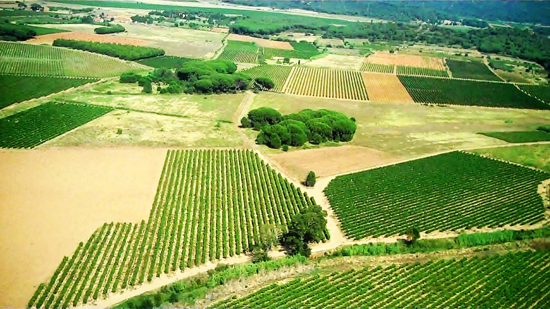 Vignoble des Corbières AOC, Aude — parcellaire de vignes
