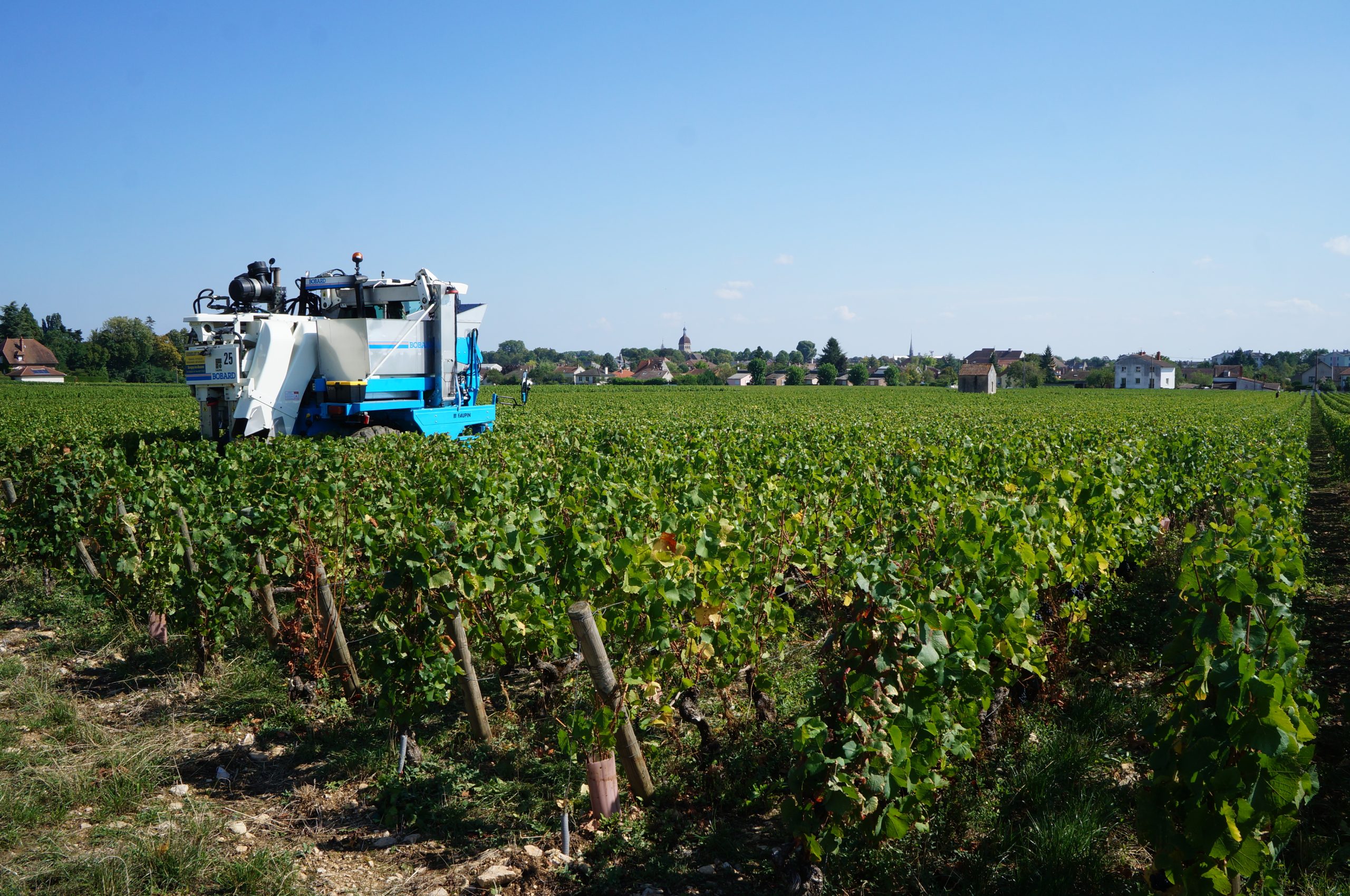Vignoble de la Côte de Beaune — Beaune (Côte d Or, Bourgogne)
