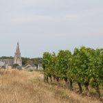« Mon anniversaire, c’est le 11 septembre. Cette année, j’ai vendangé le 10 août » : le Crémant de Loire entre en cave un mois trop tôt