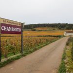 Là où la grêle n’est pas passée, le Bourgogne 2026 se concentre comme en 1976