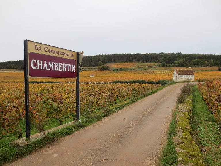 Là où la grêle n&rsquo;est pas passée, le Bourgogne 2026 se concentre comme en 1976