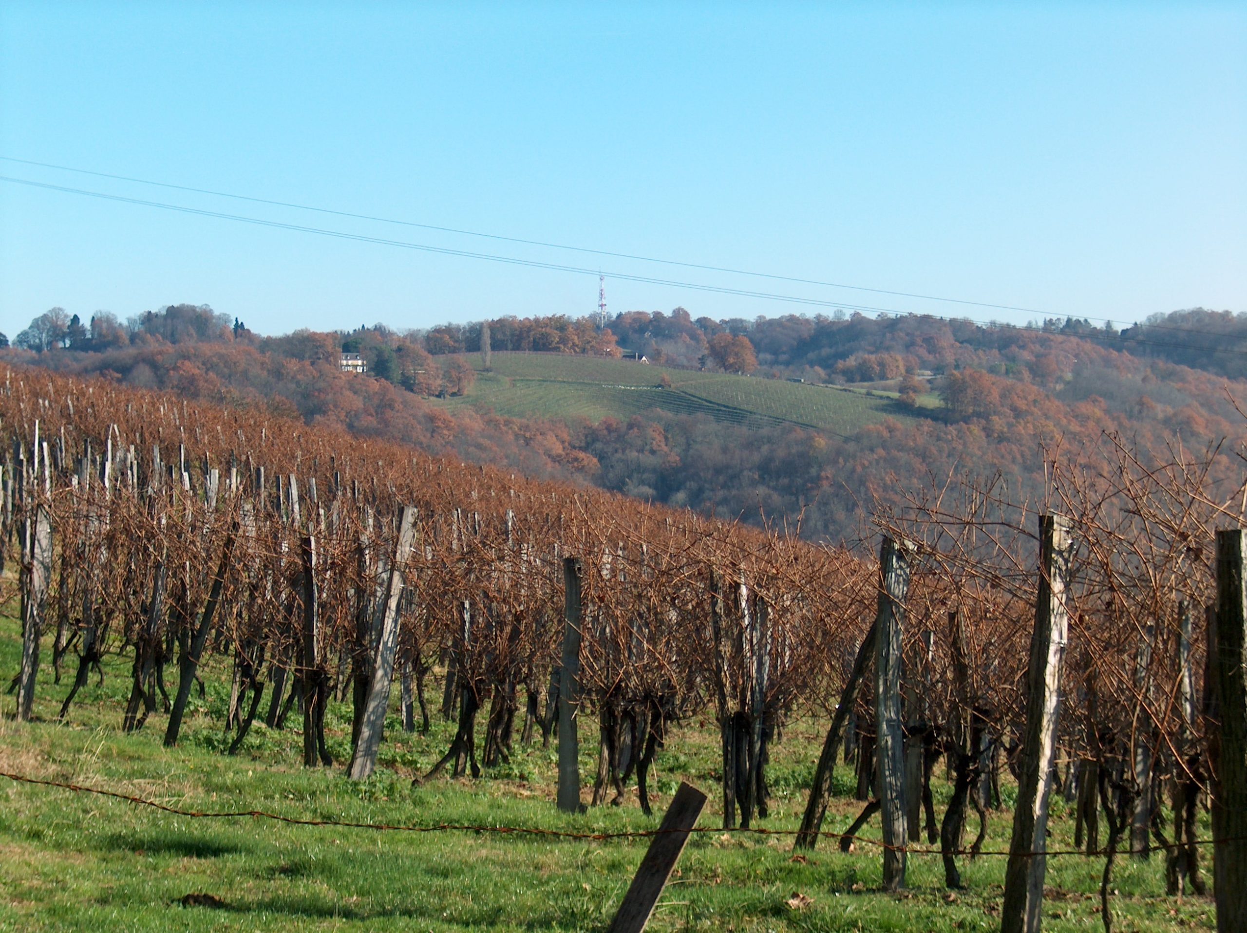 Vignoble du Jurançon avec vue sur le village de Saint-Faust, Pyrénées béarnaises