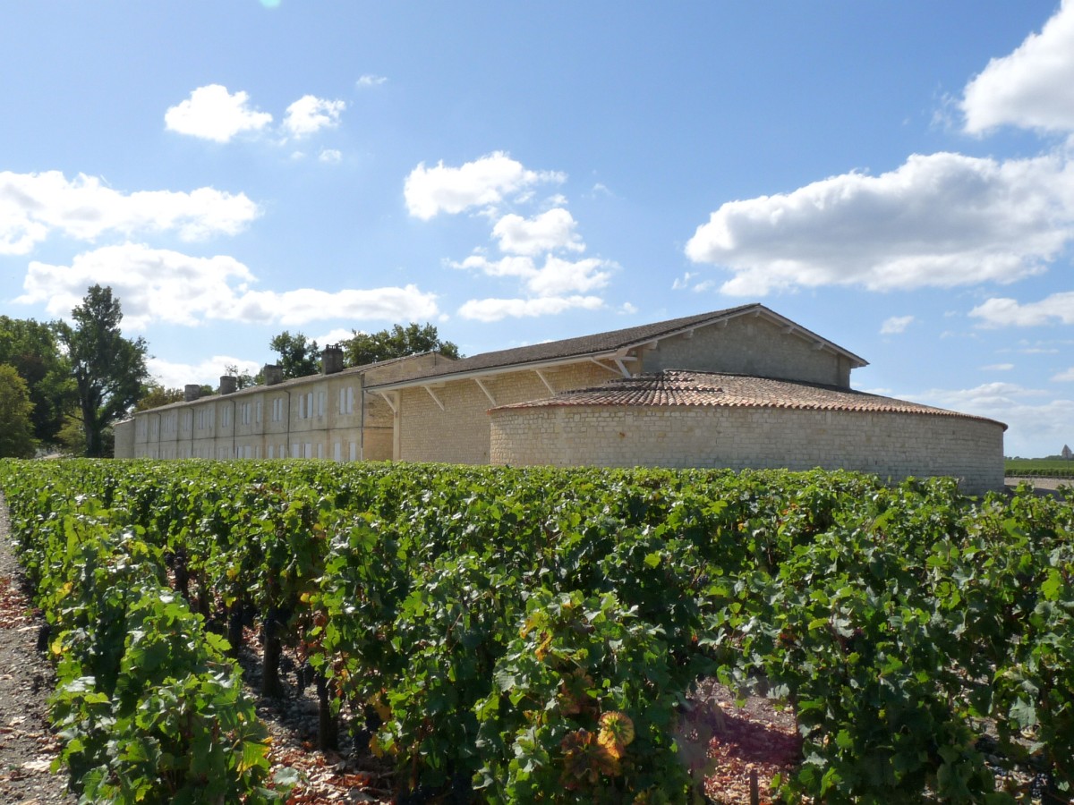 Château Mouton Rothschild, vignoble de Pauillac, Médoc, Bordeaux