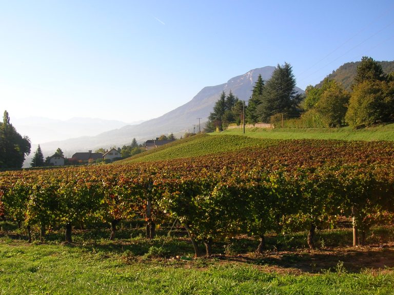 France 42 platines au DWWA 2026, la Savoie entre dans l&rsquo;Histoire : le palmarès complet du concours qui compte