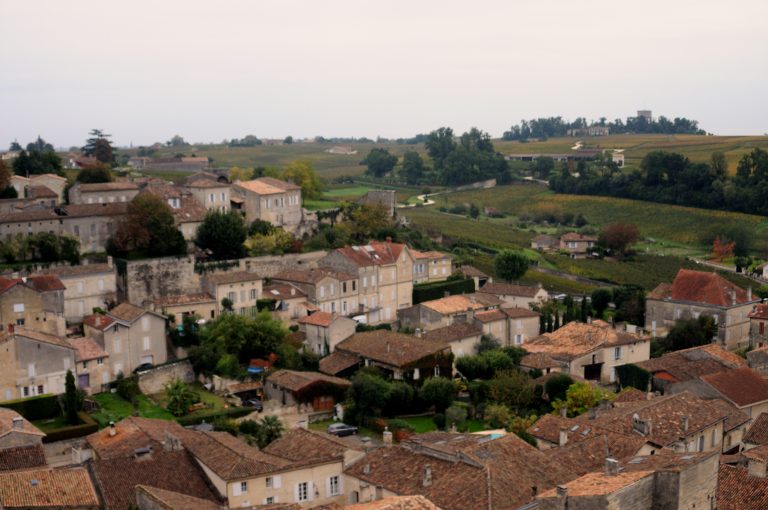 Dans les vignes de Saint-Émilion, les rouges tombaient le 19 août : « c&rsquo;est historique, du jamais vu ici »