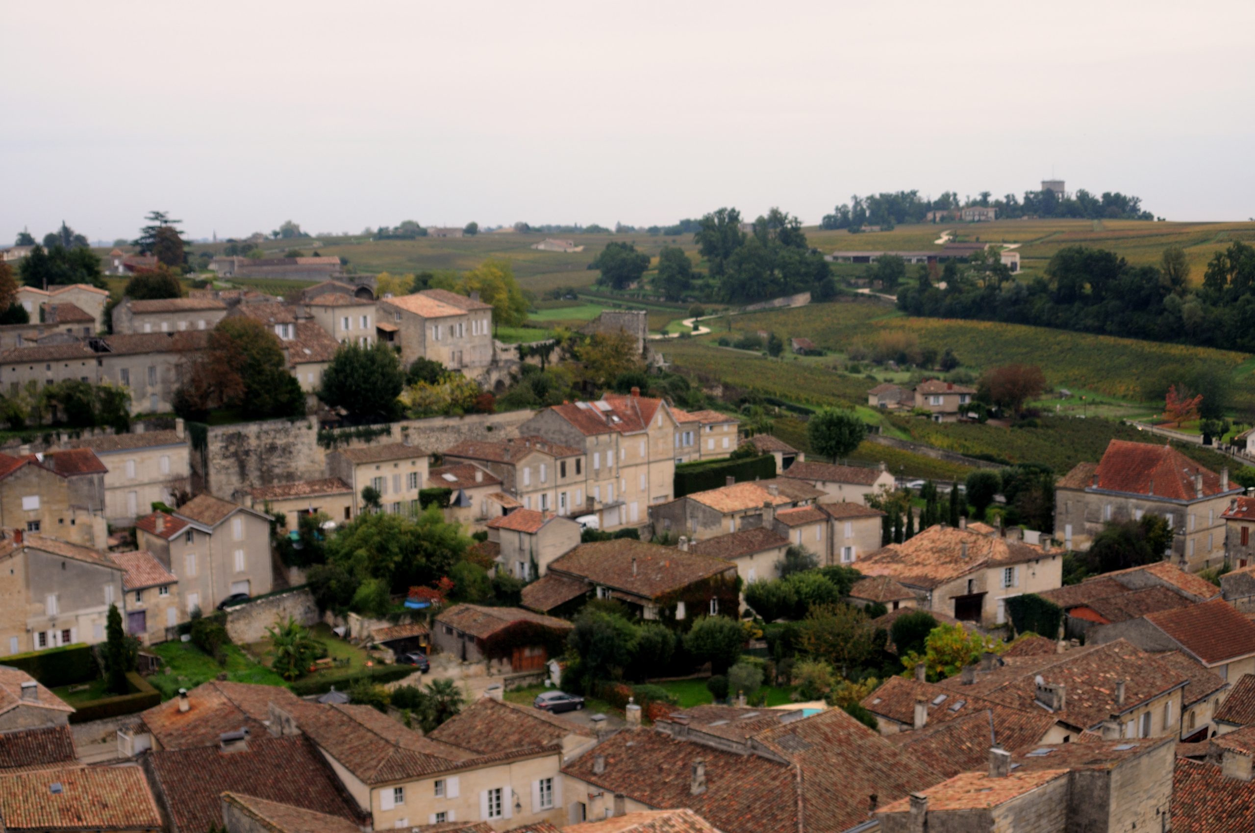 Vignoble de Saint-Emilion en Gironde, lors des vendanges