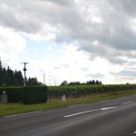 Dans l’Auvergne viticole, ils ont vendangé avant le 15 août : les vignerons appellent ça un millésime anxiogène