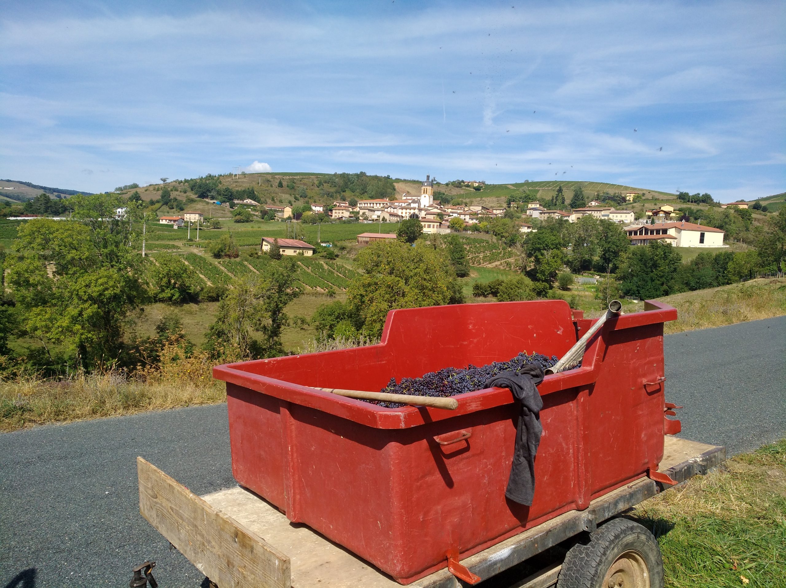 Vendanges en Beaujolais 2026, vignoble et village de Létra