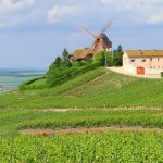 Dans le Champagne 2026, les raisins les plus sucrés depuis des décennies font craindre des bulles à plus de 13% d’alcool