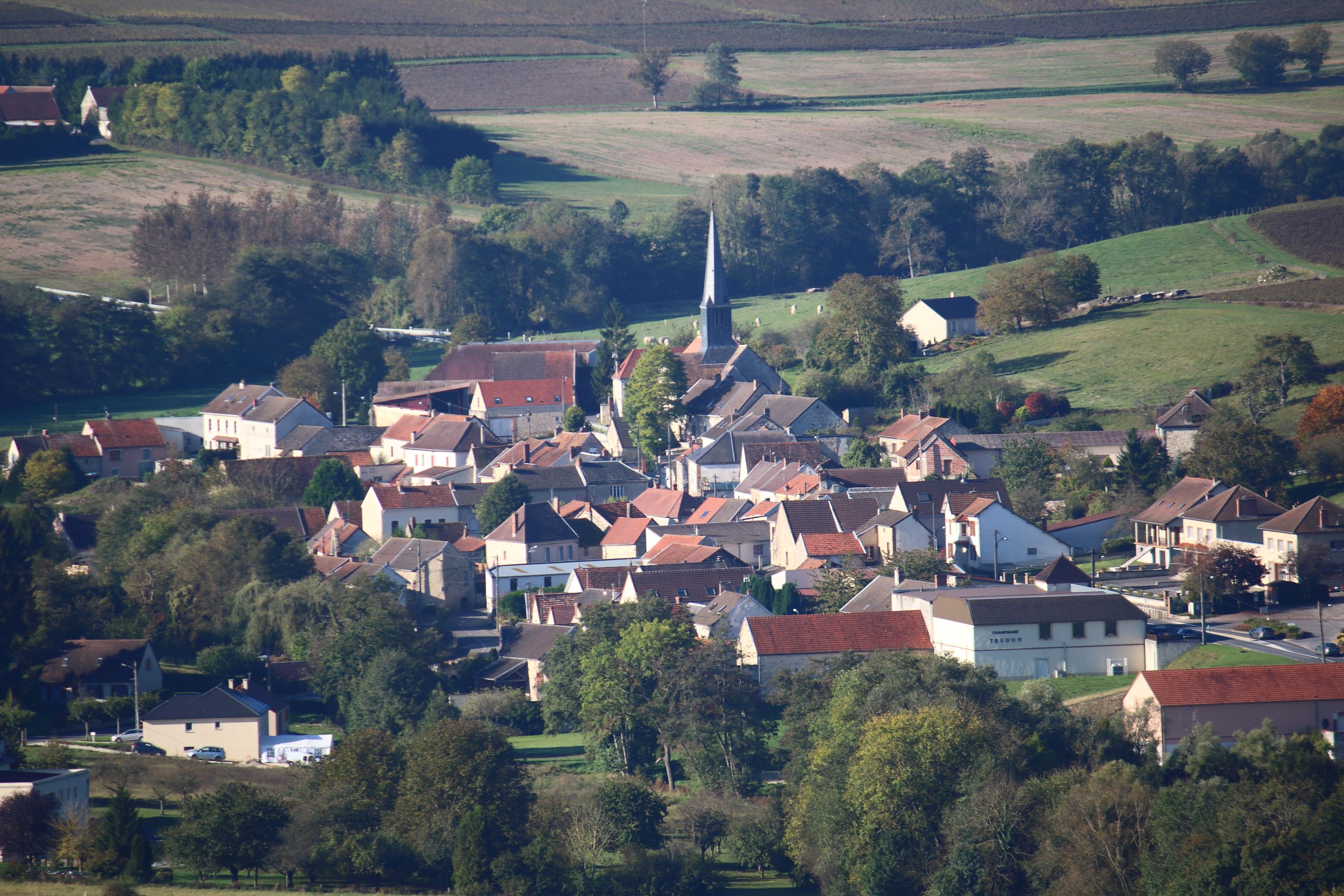 Vignoble de Champagne en période de vendanges 2026 - à titre d illustration