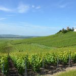 Les 270 millions d’€ qui font vivre la vigne française sont en danger : 6 sénateurs tirent la sonnette d’alarme